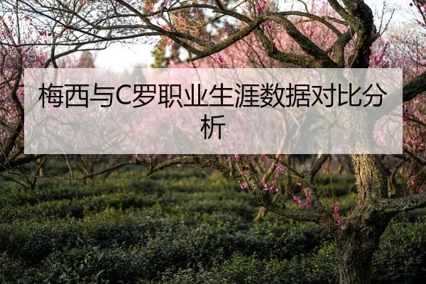 梅西与C罗职业生涯数据对比分析